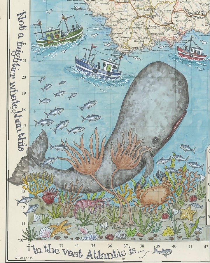 Illustrations of whales on old maps