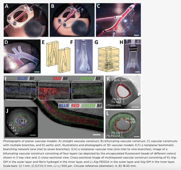 Age-Old Molding Technique to 3D-Print Cell-Laden Vascular Models