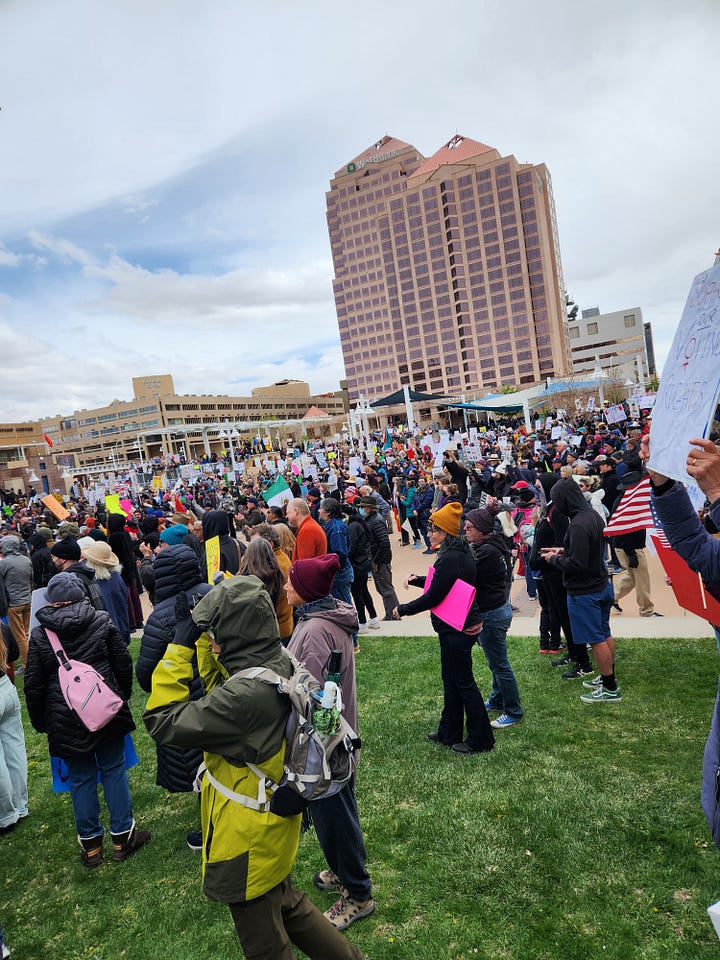 Clockwise from lefft: A large crowd in a plaza, dressed warmly and carrying signs; a large crowd in a park in front of a lovely looking mountain and a few houses; a woman wearing sunglasses, a hat and a jean jacket holding two signs in front of a crowd and some trees, one of which says "Beware DOGE" and the other of which reads Ban DDT (Dumb Donald Trump); a crowd in front of a fancy looking entryway to a government building, one of whom is carrying a sign that says "No Dictators in America."