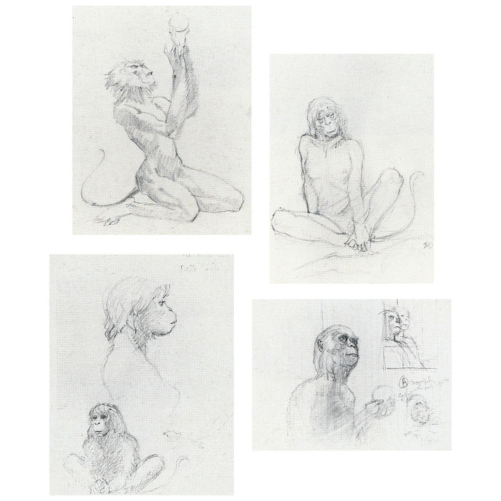 LEFT: Detailed pencil study for THE NEW SPRINGTIME featuring the pair of ape-like humanoids. The elder male turns his wrinkled face thoughtfully toward the audience. The younger female glances off-panel right while delicately holding a simple round pendant in her long fingers. RIGHT: Four pencil sketches for THE NEW SPRINGTIME. UPPER LEFT: An ape-like humanoid kneels while holding up a sphere. UPPER RIGHT: An ape-like female sits facing forward with knees out and one hand grasping her foot. LOWER LEFT: An ape-like female in profile. her face is rendered in detail but her body is a loose outline. Below, rendered in detail, another female is seated with knees out and hands in front as she leans forward. LOWER RIGHT: The older ape-like male holds out a sphere in the palm of its hand. Loosely renders in the same panel upper right is a pair of figures staring right. The male is in front in this sketch.