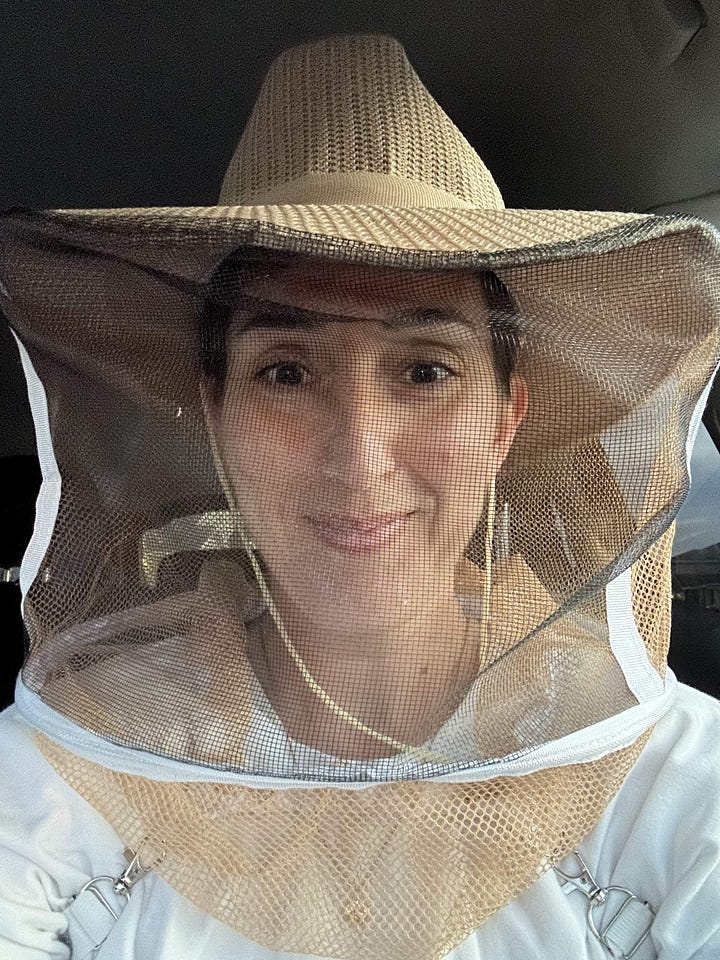 Me in a bee suit, smiling but hesitant. Me holding the hive. A bee feeder in a plant pot with stones. The bee hive tucked into an enclave surrounded by oak branches.