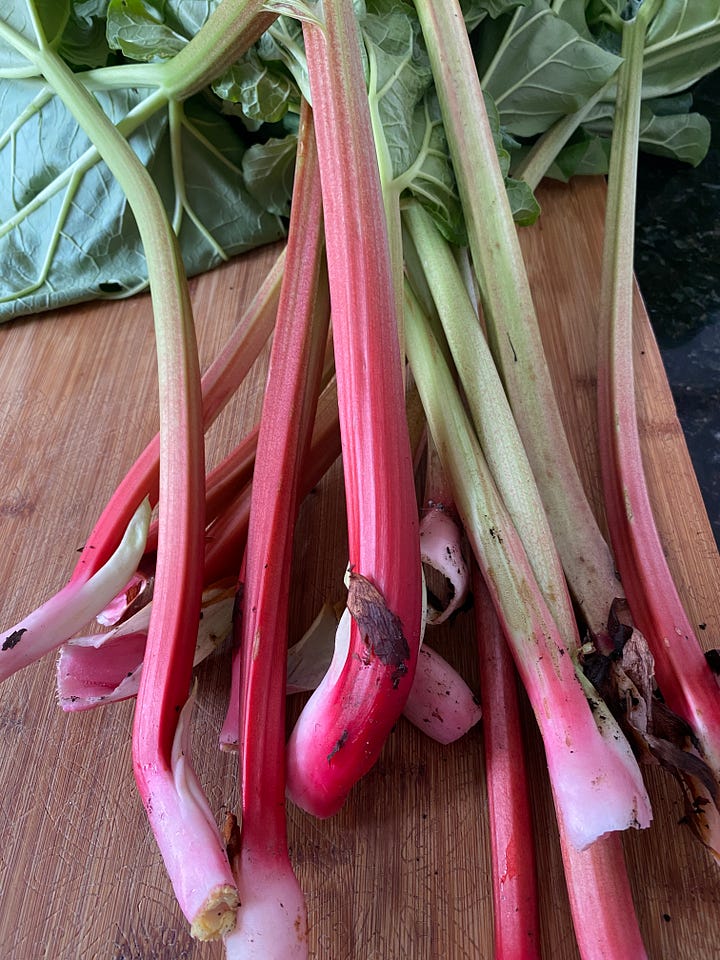 Rhubarb stalks and leaves on a wooden board.