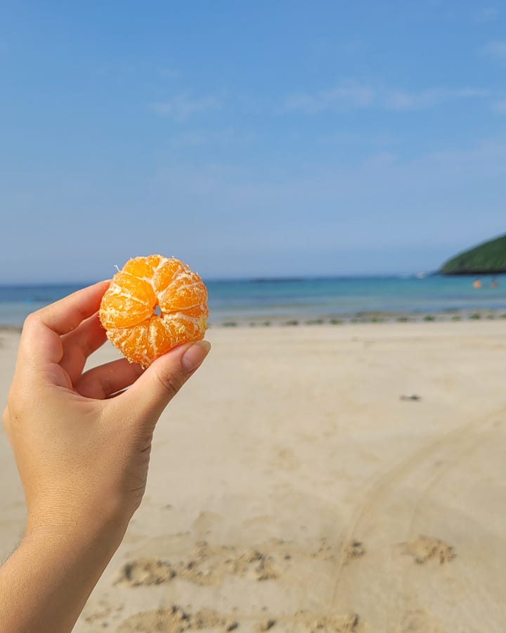 left: a photo of ji-youn's hand holding up a peeled mandarin orange, against the backdrop of the beach on jeju island. right: a birds eye view of dinner for one, with banchan, rice, and a laptop keyboard.