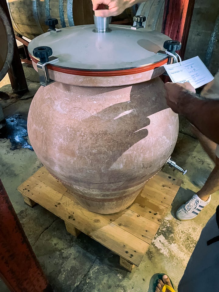 Vernaccia di Oristano aging in amphora under a layer of flor