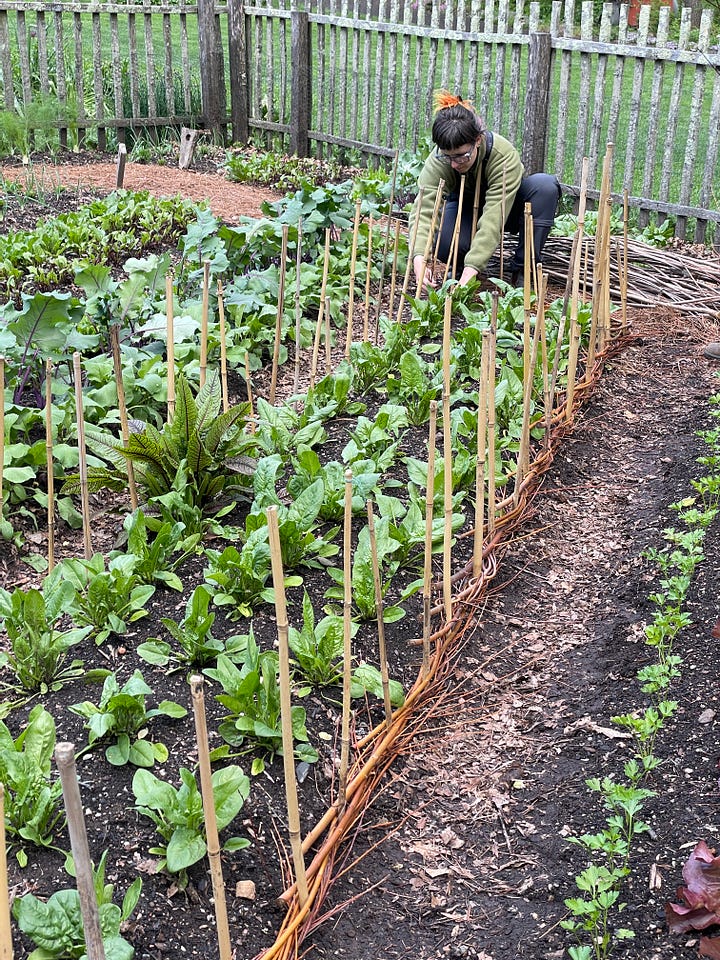 The Vegetable Garden at Chanticleer. Photos by Julie Witmer