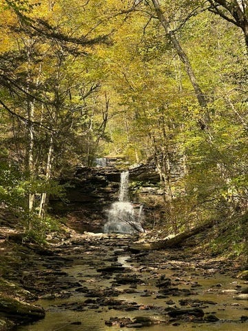 Hikes through Hickory Run State Park and Ricketts Glen State Park near the Poconos. Photos by Noah Meanix