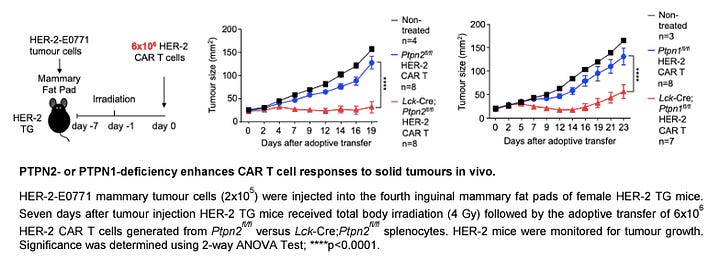 Novel Intracellular Immune Checkpoints for T Cell Therapy