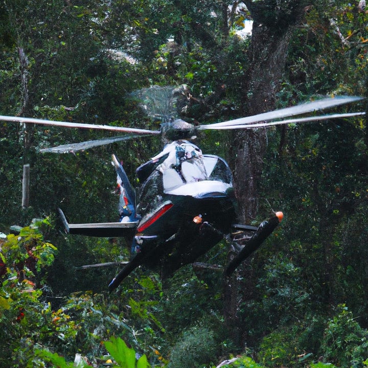 A black jaguar being caught and taken by the police in a helicopter 