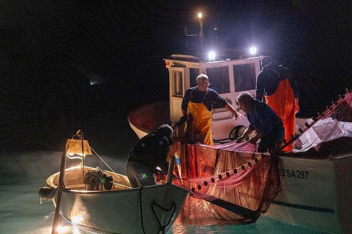 Fishing for anchovies at night in the Cilento