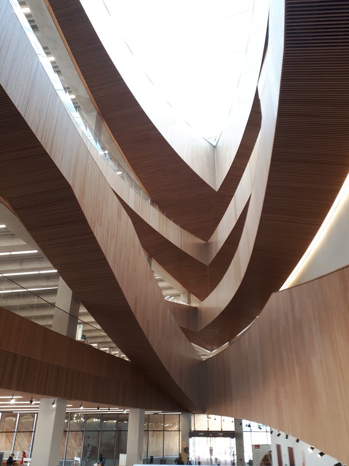 Calgary library. Wooden roof structure; lights and windows; sunset shining in through a large window; LRT trains running under the building.