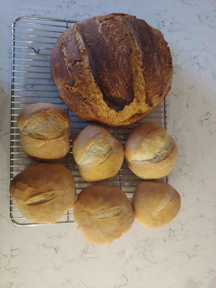 Image description: loaves of bread. They all look pretty good. But they could be better.