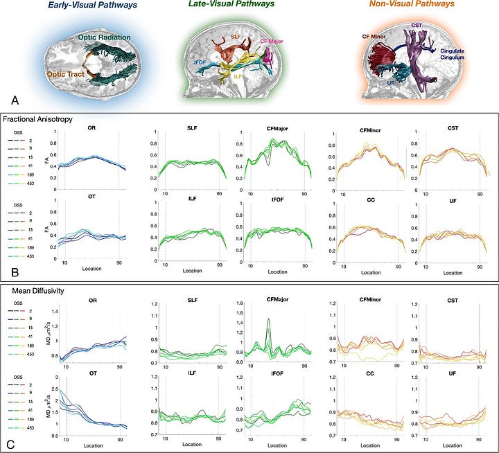 Evidence of Structural Brain Plasticity Observed Following Treatment to Congenital Blind Humans