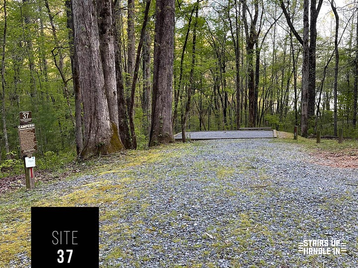Morganton Point Campsites