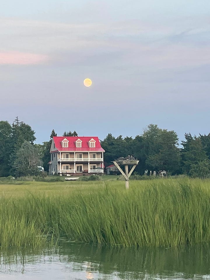 Sun and moon over the marsh while kayaking