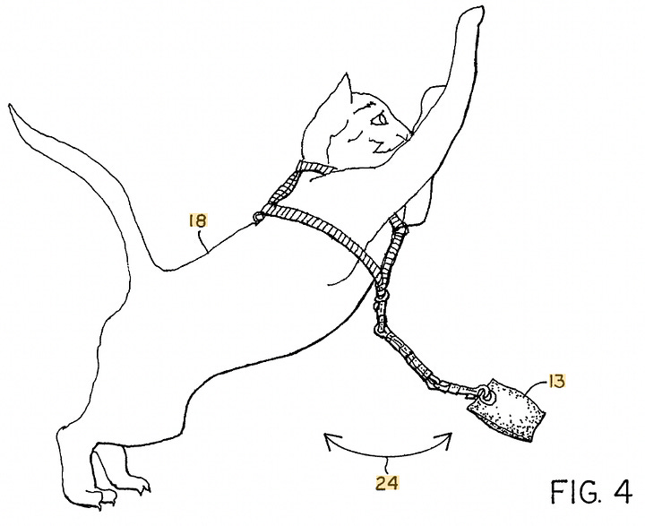 Missed Opportunities Cat Can't Jump by Matt Jones