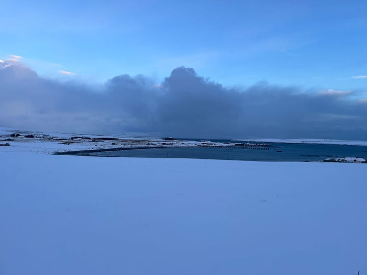 5 images of snowy Orkney. They all have a blue hue to them. Some have Kiki the dog in & one has Han & Kiki in