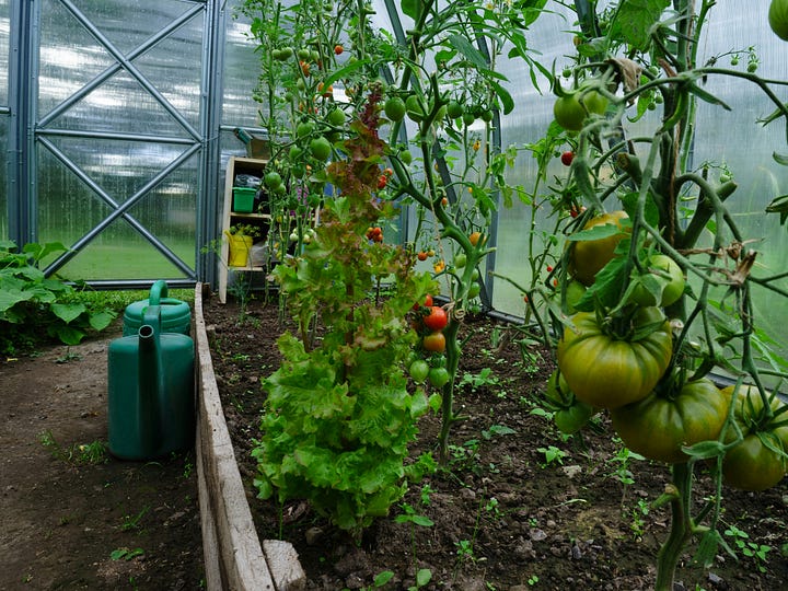 Sustainable Living