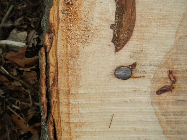 Hitting iron in a log