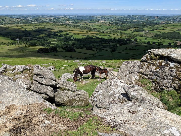 King Tor on Dartmoor. Photos from Visit Dartmoor