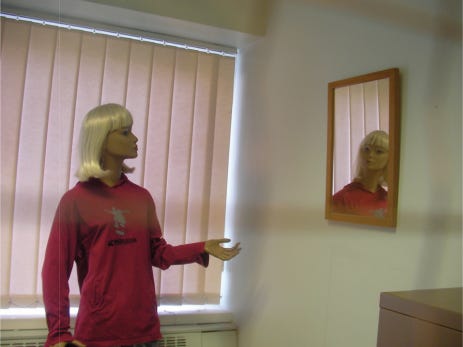 Demonstration of the Venus effect using a mannequin and a mirror
