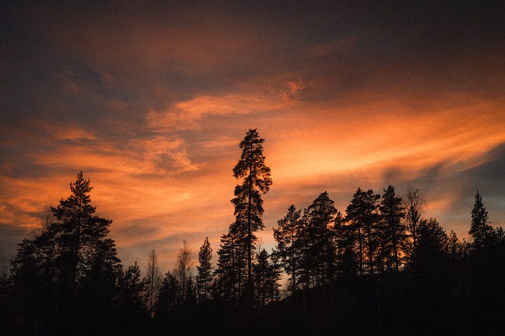 Sunset from bus window on Turku highway
