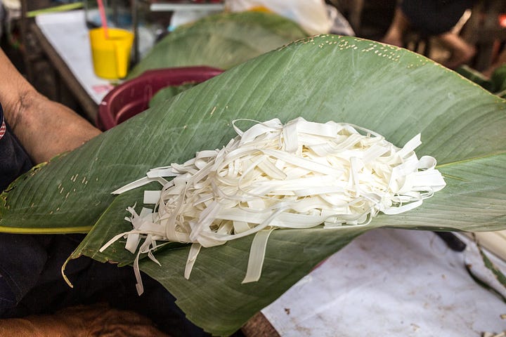 Ribbons of Chonta on left and heart of palms on the right