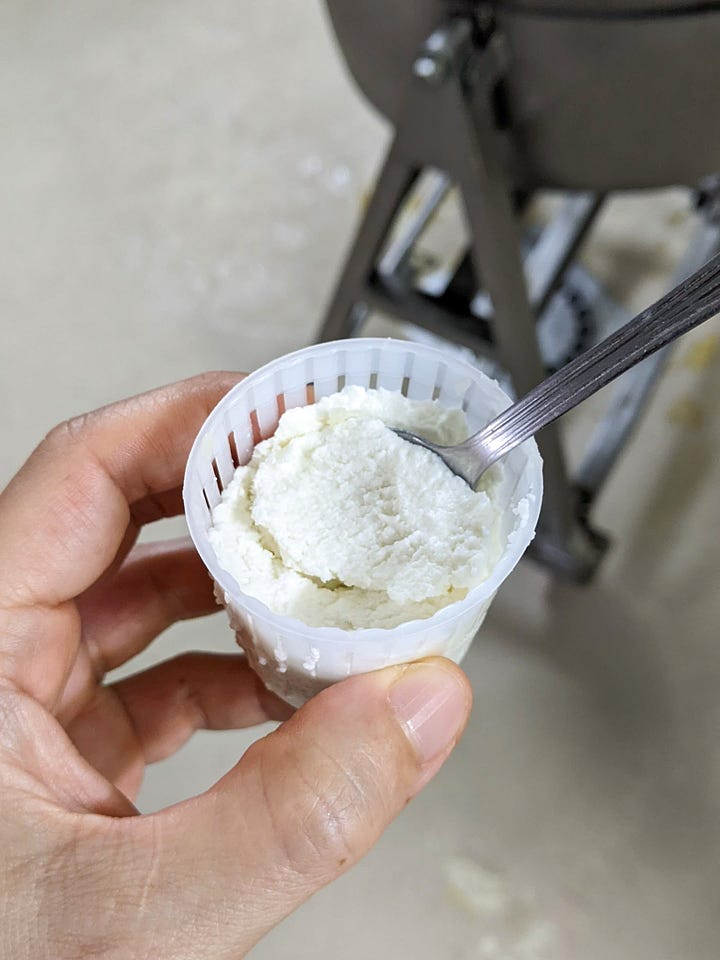 The best fresh ricotta!