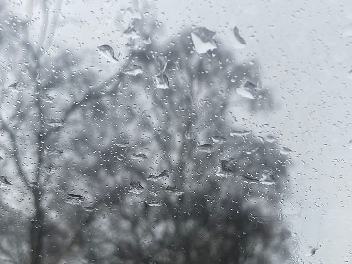 Black branches against a white sky blurred by rain on a window