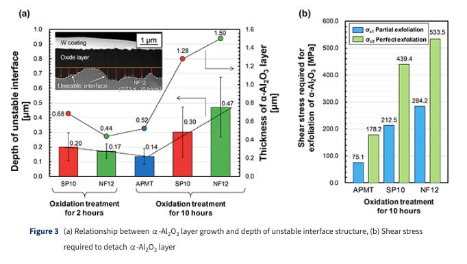 α-Al2O3 Protective Layer That Sticks to Metal Surface with Functions of an Anchor and Peg