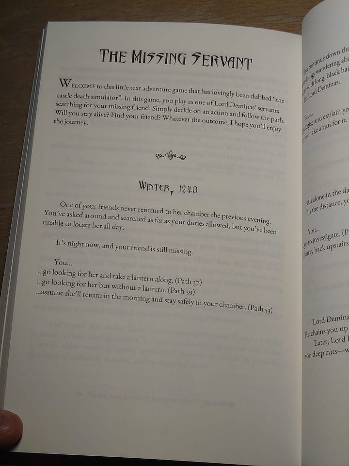Various photos of the internal layout of the book, showcasing the artworks, poems, and giving a preview of the prologue, chapter one, and the text adventure bonus game.