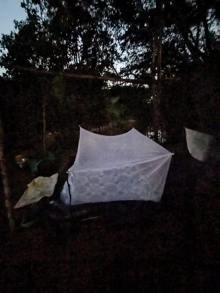 Our campsite: a view of the stars and the caiman who want to eat us.