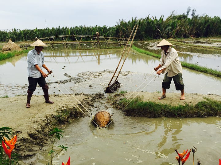 Fishing trip and rice paddies tour, Hoi An, Vietnam
