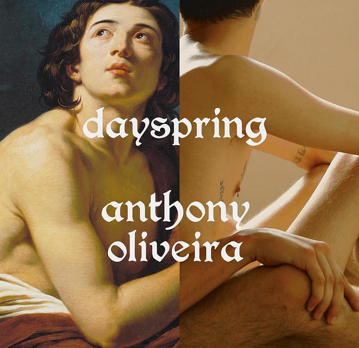 Covers of the novels Him and Dayspring