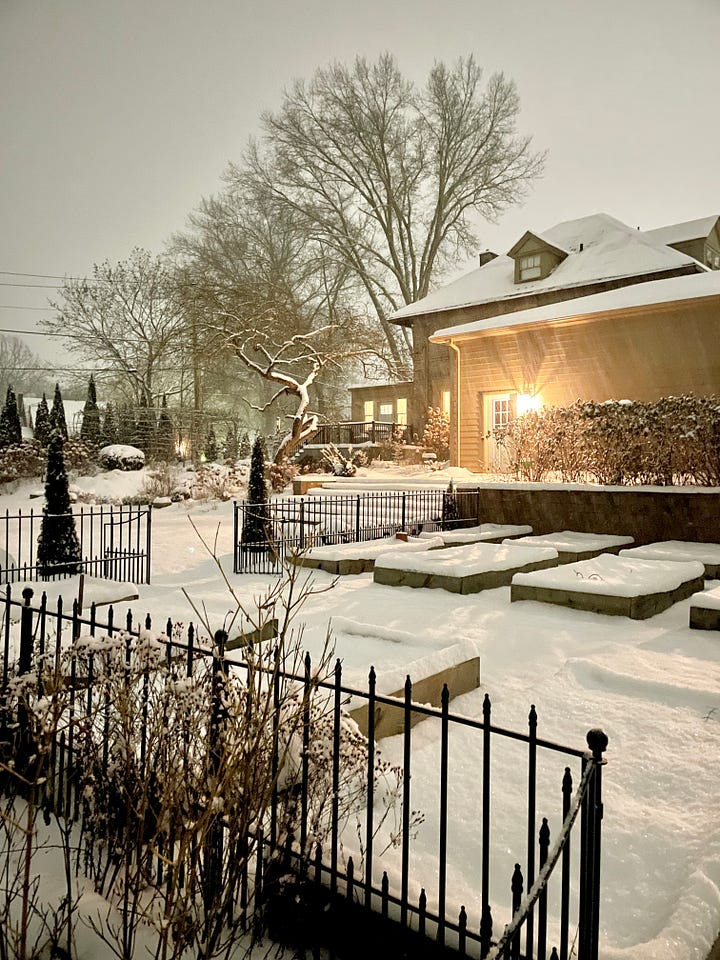 The Kitchen Garden in January: tulips, garlic, rhubarb, asparagus and onion seeds all covered in snow.