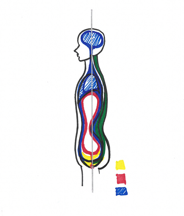 Left to right: 1) Cross section, muscular dome of pelvic diaphragm. 2) Diagram of pelvic floor shape with perineal body at center. 3) Thoracic diaphragm and part of its stem. 4) Pathway of mulabandha.  5) Peritoneal sac 6) Arching tissues for jalandhara bandha