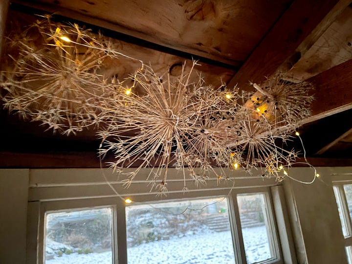 Lights in the Potting Shed, and my first winter looking out these vintage windows at our pond.