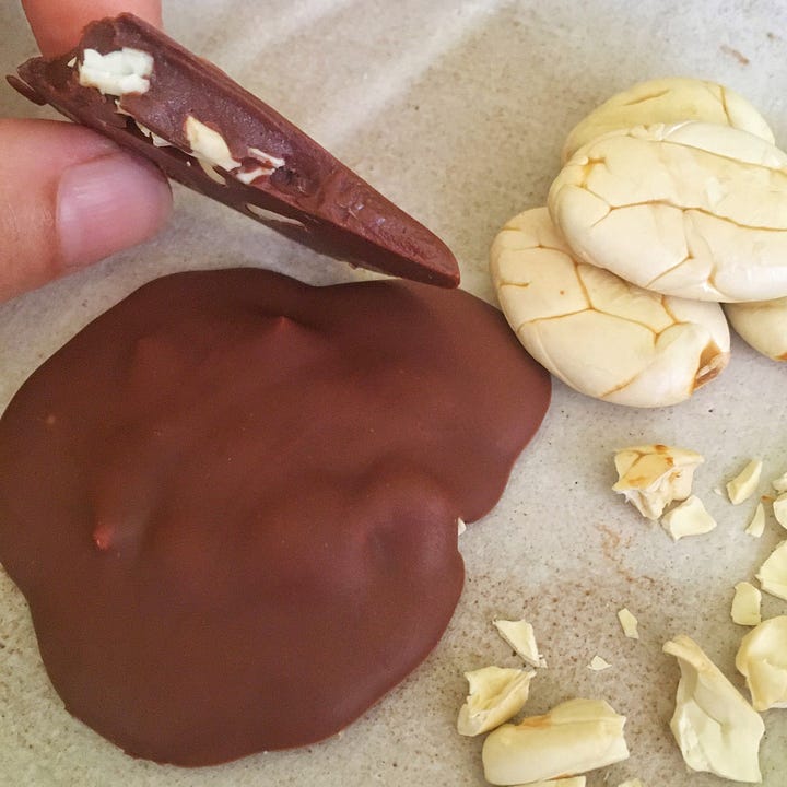 Hand holding pieces of jaguar cacao nib in dark chocolate and mylk chocolate