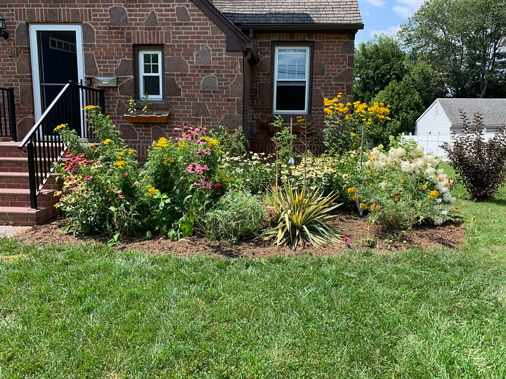 The first photo shows Amanda's neglected garden, overrun with weeds. The second photo shows a much cleaner version of the same garden, weeds cleared. 