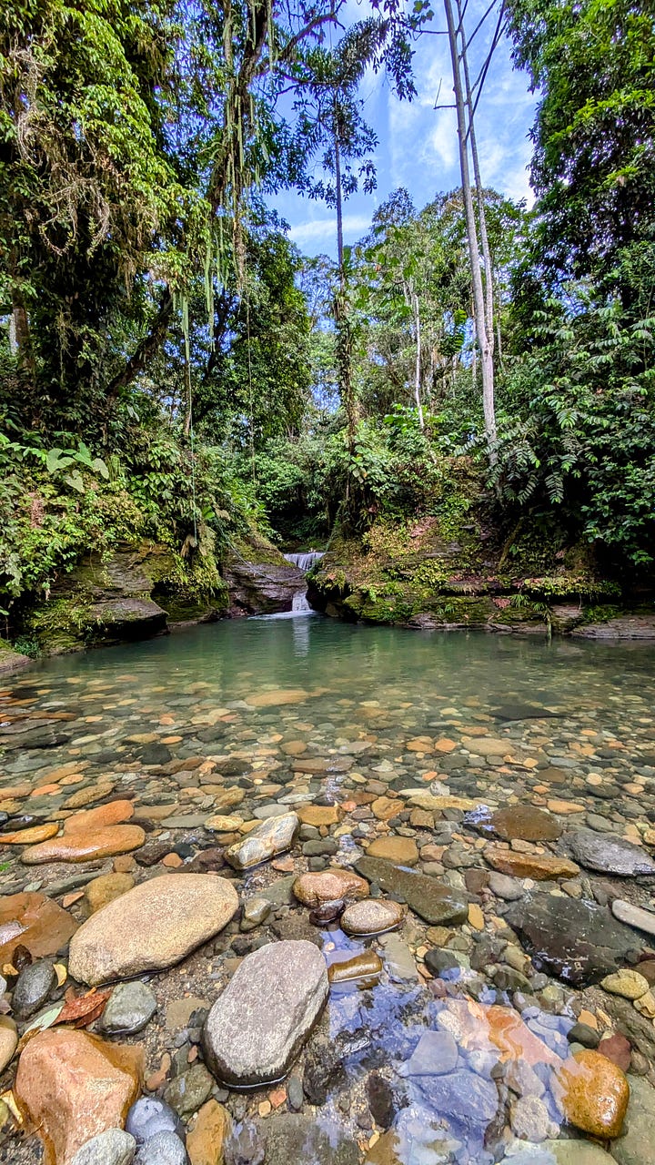 Cascada Pimpillitu (left), a natural swimming pool we frequented; a local tapir enjoying a scratch in the park (right).