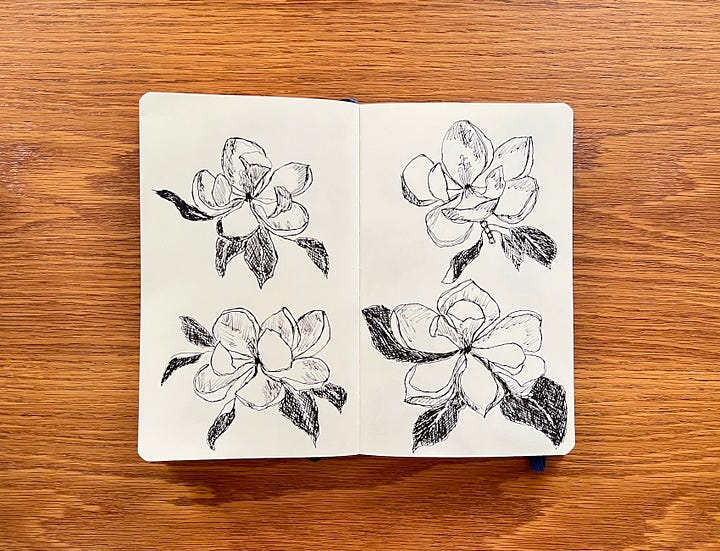 Black and white magnolia sketches in a sketchbook created with a black ink pen