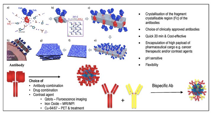 Antibody Nanoparticle Delivery System for Drug Delivery or Imaging