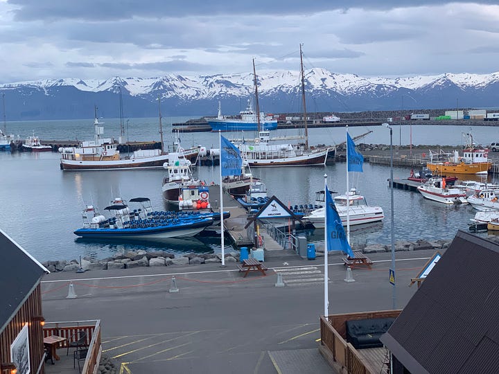 The working ports of Iceland
