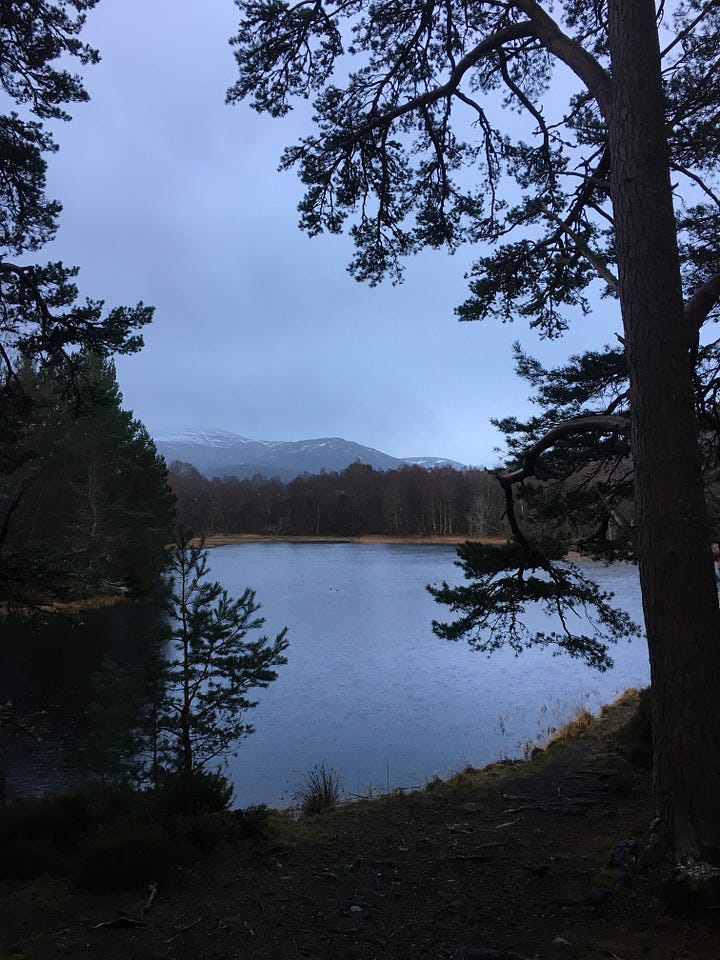 Images: 1. Loch an Eilein with the castle shadowed just off centre; 2-3. Lochan Mor as the drizzle came; 4. one of The Lochans with icy edges.