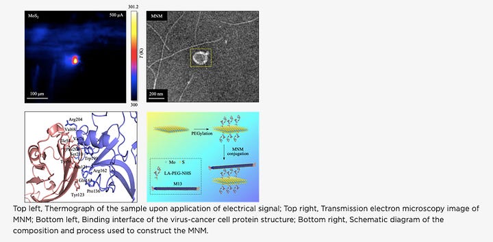 SUTD Researchers Developed Novel 2D Material with Virus to Kill Cancer Cells