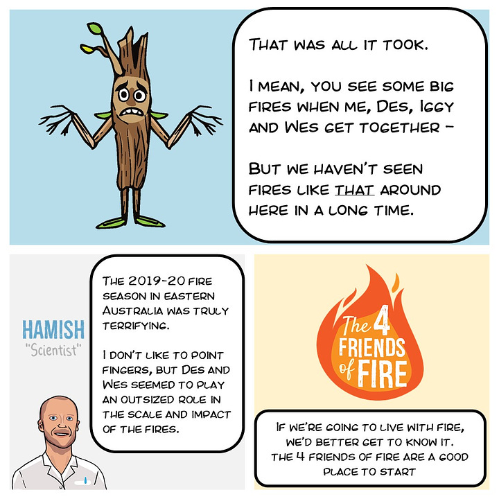 Comic strip about Black Summer fires