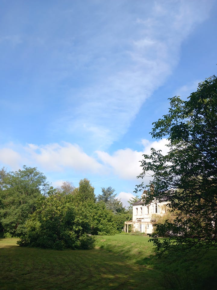 Four pictures: a wooden signpost next to a magnolia tree, a white building set in a tranquil garden and a small library.  