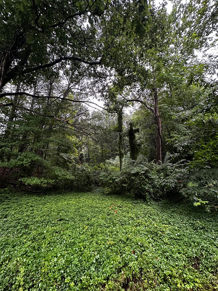 Pictures of nature in Connecticut