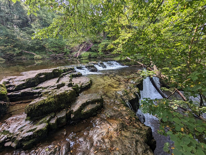 guided walk in the waterfalls area of the brecon beacons national park