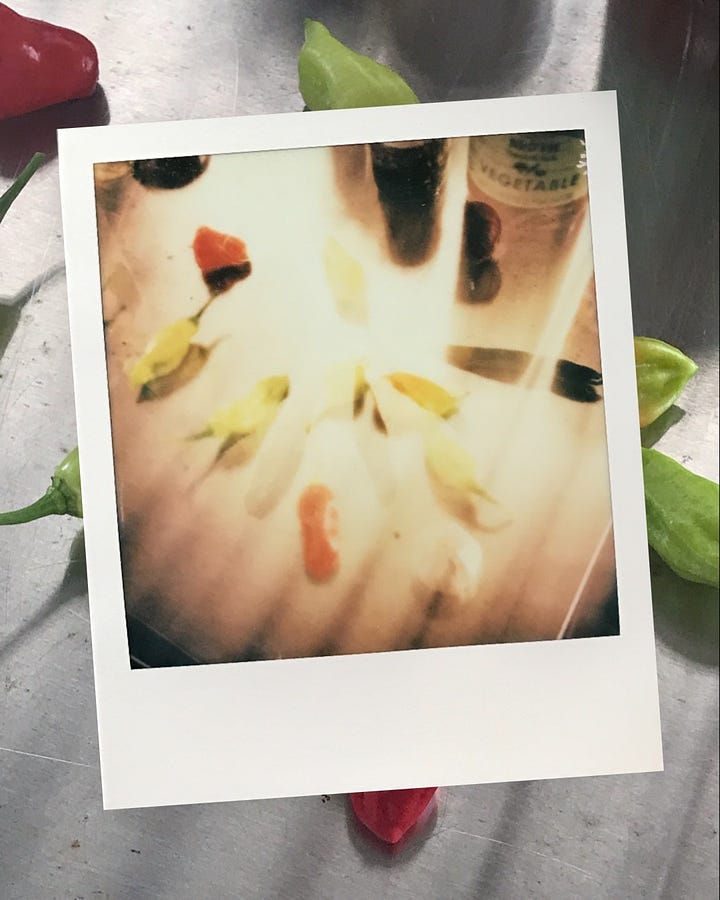 Double exposure of Steven holding lemon grass and jars of sauerkraut. Behind the polaroid is a blurry phone photo of the lemon grass. Double exposure of ají dulce peppers on a stainless steel table, behind the polaroid is a phone photo of the peppers.