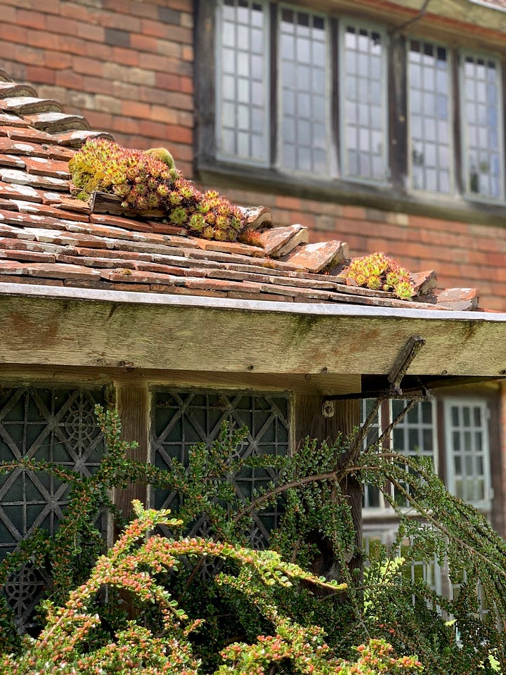 Plantings and steps at Great Dixter. Photos by Marcella Hawley